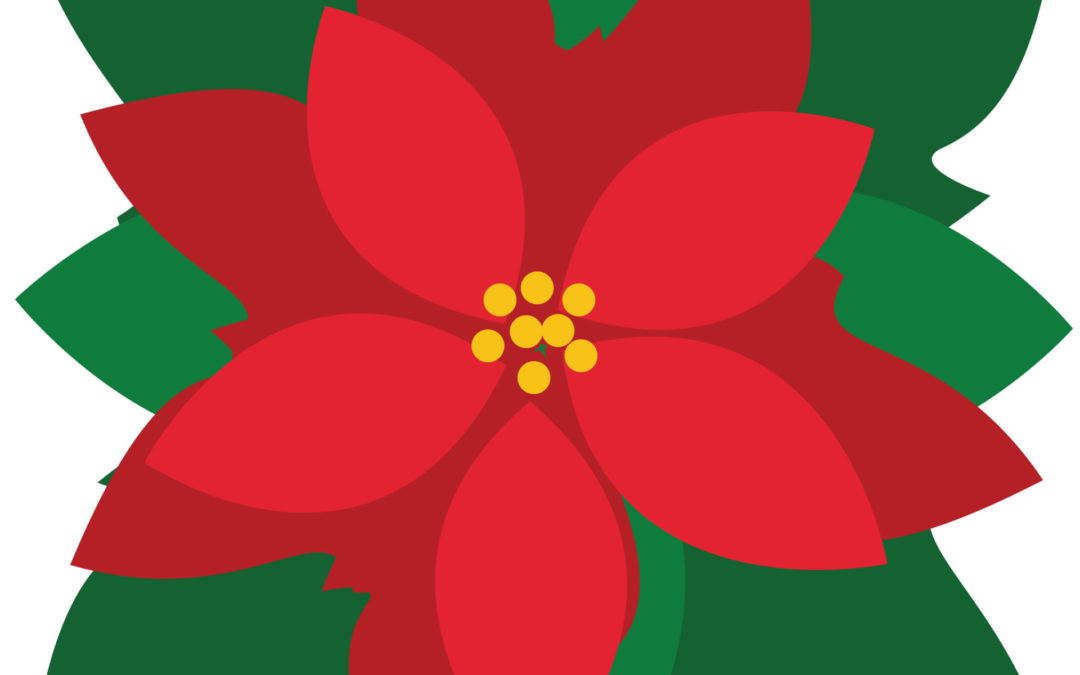Christmas Poinsettias